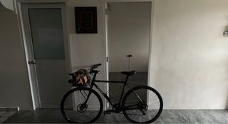 (Category: ) located in . Submitted by daliend (Listing ID 1271386732, Image 1). Description: .