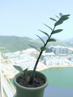 （分類：）位於 。 由 best_finding 提交（商品編號 1382935013，圖片 1）。簡介： 。