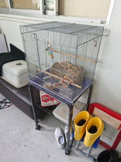 (Category: ) located in . Submitted by abamcleanersg (Listing ID 1383025397, Image 1). Description: .