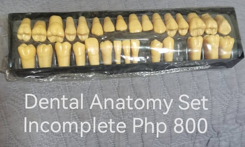 Dental Anatomy Set (Category: Medical Supplies & Tools) located in Los Banos. Submitted by princessbotique (Listing ID 1382885015, Image 1). Description: Dental Anatomy Set Incomplete ngipin ng Dinasaur Only Php 800 Preloved As is WYSIWYG Fix and firm No LP pls First come First Serve Please add shipping fee From Los Banos Laguna Meetups per arrangement MOP GCash first to pay basis No reservations No COD No checkout PM MY PAGE if interested Please