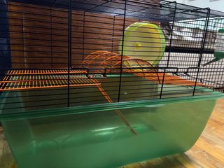 (Category: ) located in . Submitted by juliawang1127 (Listing ID 1383003196, Image 1). Description: .