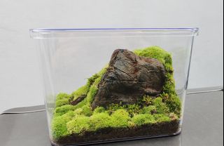 (Category: ) located in . Submitted by theaidashop (Listing ID 1383007036, Image 1). Description: .