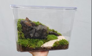 (Category: ) located in . Submitted by theaidashop (Listing ID 1383007229, Image 1). Description: .