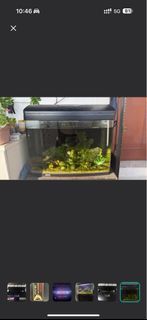 (Category: ) located in . Submitted by hellofaliar (Listing ID 1383089143, Image 1). Description: .