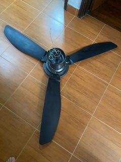 (Category: ) located in . Submitted by lorrainecher (Listing ID 1383082479, Image 1). Description: .