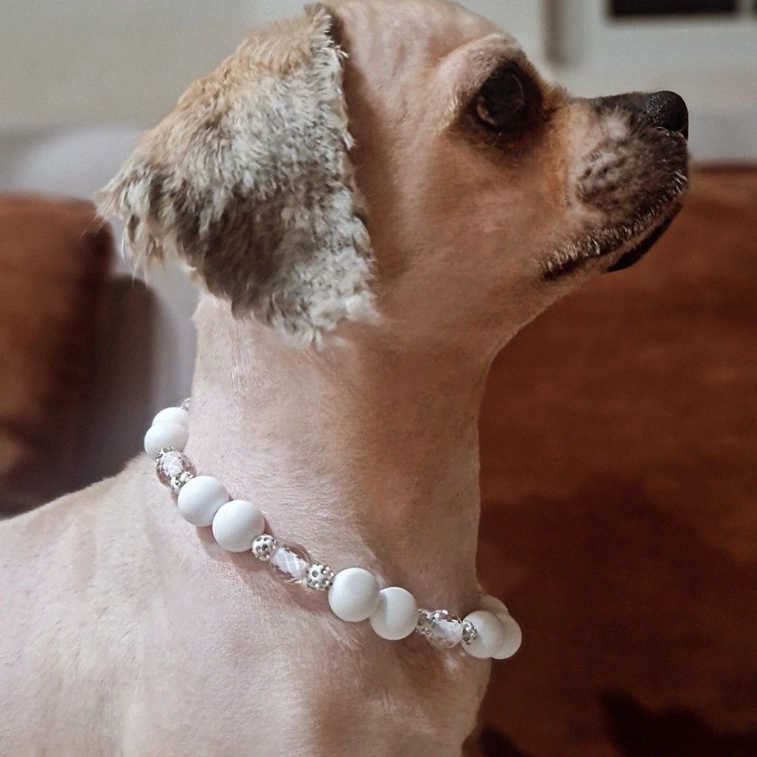 Dog necklace / Dog collar (Category: Homes & Other Pet Accessories) located in Manila. Submitted by kitakat111 (Listing ID 1383098611, Image 1). Description: Dog necklace / Dog collar Please follow wiggle and wag collars for more. for orders, please texy 09158146667.