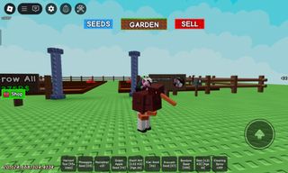 (Category: ) located in . Submitted by nangchongl99848 (Listing ID 1383108984, Image 1). Description: .