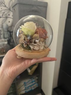 由 toy88061421302 (刊登 ID 1383319584，圖片 1) 提交，位於 的 (類別：)，說明：。