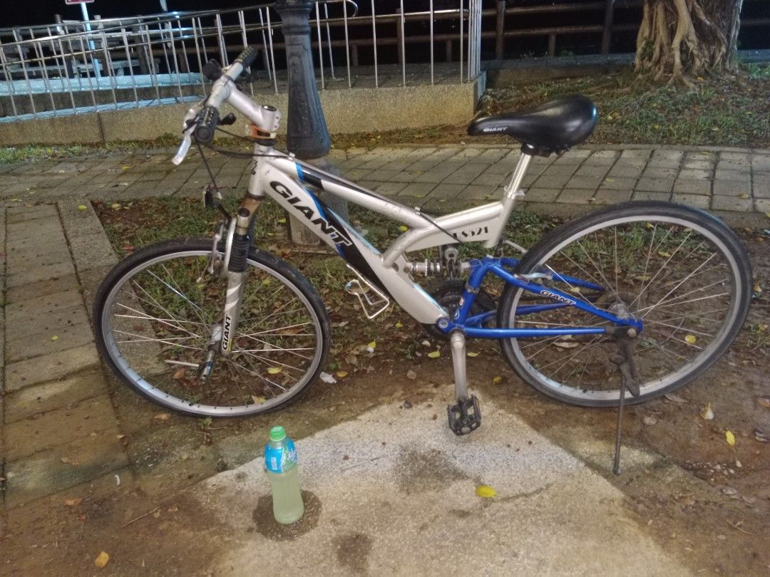 由 aa33445zz424331 (刊登 ID 1383457139，圖片 1) 提交，位於 桃園市 (Taoyuan) 的 捷安特 (類別：單車)，說明：有掉漆，功能正常，所以便宜賣，。