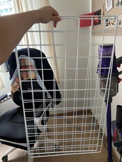 （分類：）位於 。 由 pangpws 提交（商品編號 1383296546，圖片 1）。簡介： 。
