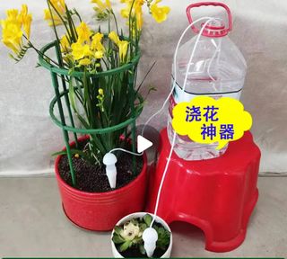 （分類：）位於 。 由 hooip 提交（商品編號 1383407552，圖片 1）。簡介： 。