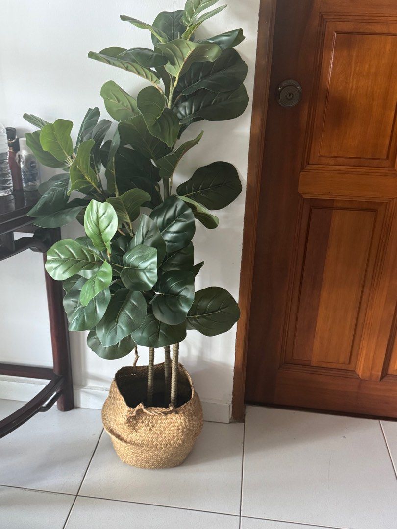 Artificial Fiddle Leaf Fig Plant with Basket