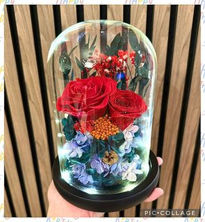 (Category: ) located in . Submitted by lovely_indulgence (Listing ID 1383304891, Image 1). Description: .