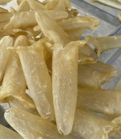 Dried fish maw (Category: Health Food, Drinks & Tonics) located in Caloocan City. Submitted by michaeldos14649 (Listing ID 1383423062, Image 1). Description: Dried Fish Maw is the swim bladder of fish, commonly used in various Asian cuisines for its rich texture and ability to absorb flavors. It's highly regarded for its nutritional benefits, being low in fat and high in protein. To use it in cooking, soak it in water until soft, then incorporate