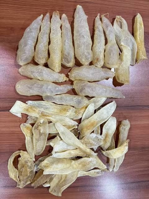 Dried fish maw (Category: Health Food, Drinks & Tonics) located in Caloocan City. Submitted by michaeldos14649 (Listing ID 1383423062, Image 2). Description: Dried Fish Maw is the swim bladder of fish, commonly used in various Asian cuisines for its rich texture and ability to absorb flavors. It's highly regarded for its nutritional benefits, being low in fat and high in protein. To use it in cooking, soak it in water until soft, then incorporate