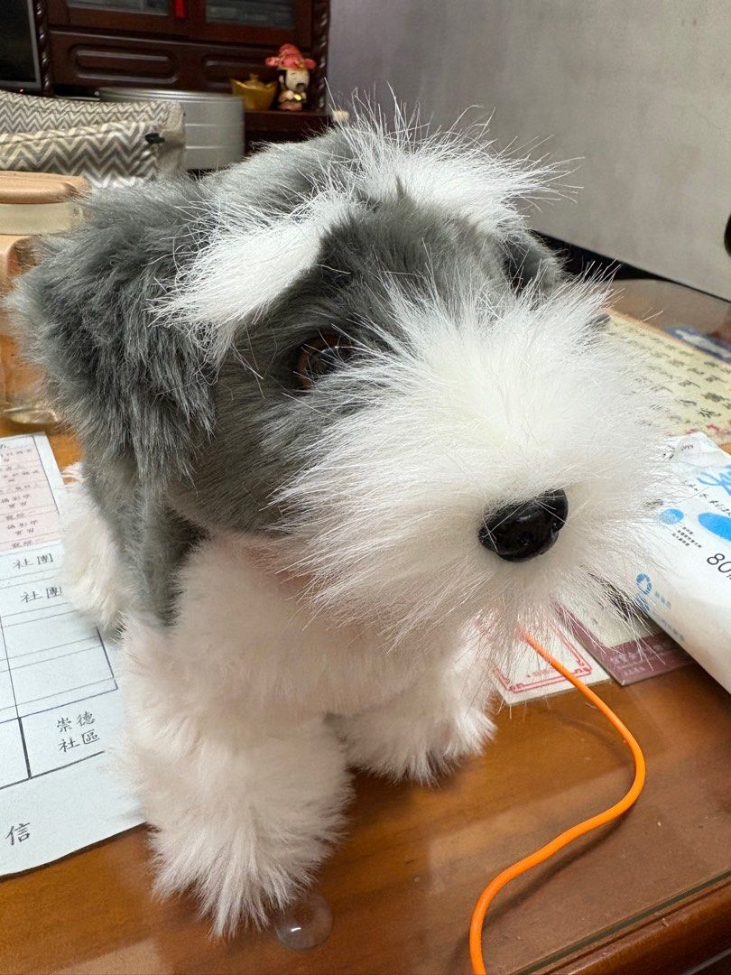 由 shuyu8384 (刊登 ID 1383586897，圖片 2) 提交，位於 高雄市 (Kaohsiung) 的 雪納瑞玩具狗 (類別：嬰兒玩具)，說明：超可愛狗狗，毛很好摸，會叫會走，全新但久放，可能有些接觸不良，所以牽繩無法使用，電池蓋缺螺絲，有影片，有興趣私。