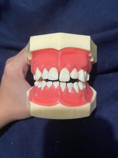 (Category: ) located in . Submitted by dazni (Listing ID 1383617701, Image 1). Description: .