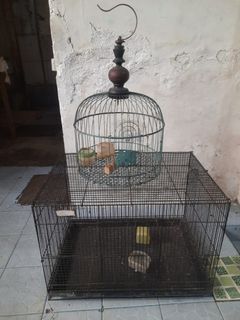(Kategori: ) berada di . Dikirim oleh sianma82478316 (ID iklan 1383480666, Gambar 1). Deskripsi: .