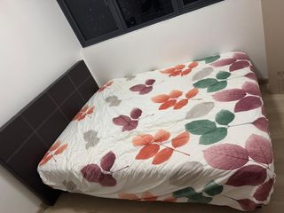 (Category: ) located in . Submitted by roopashreeananth (Listing ID 1383480157, Image 1). Description: .