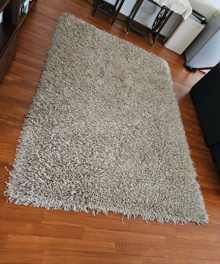Shaggy Beige Rug  carpet