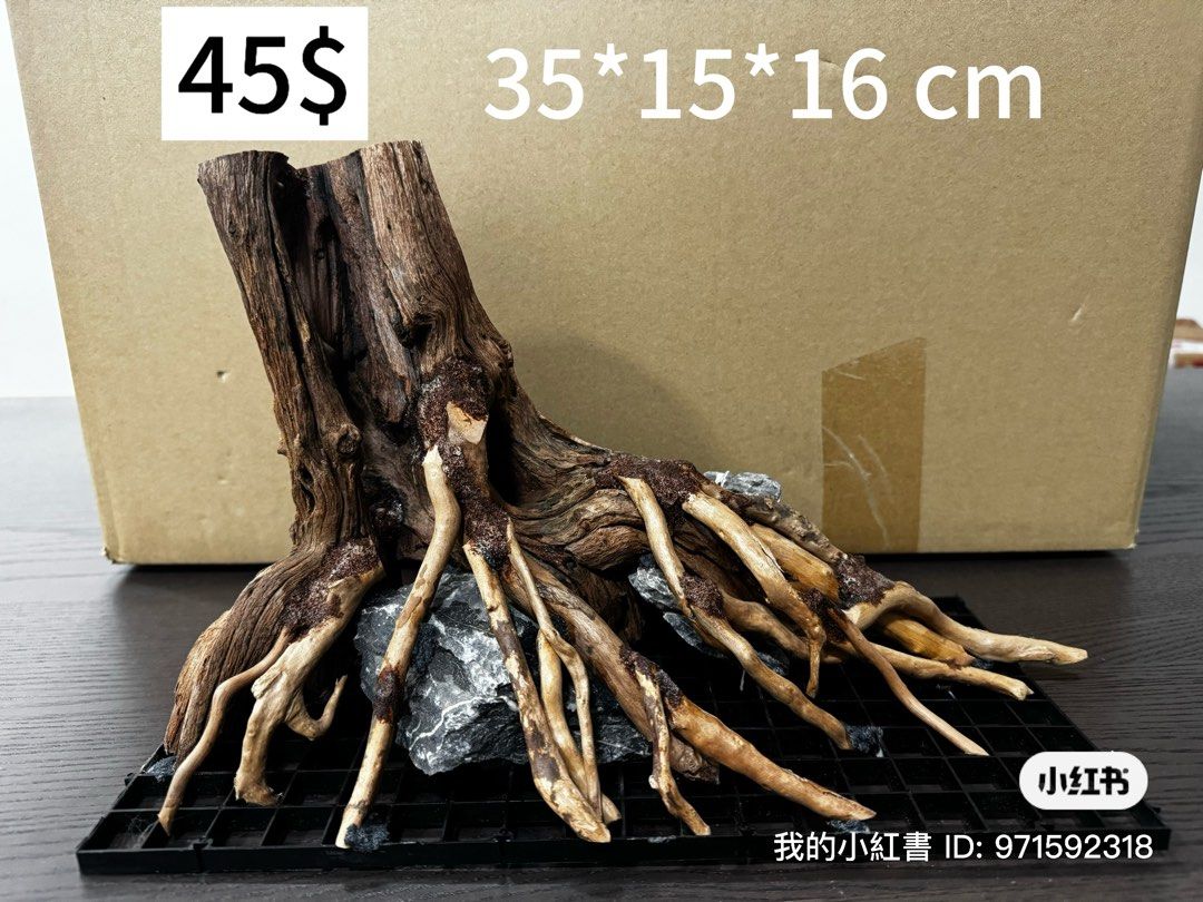 Aquasacpe fish tank built skeleton (Category: Homes & Other Pet Accessories) located in Singapore. Submitted by wxjhui (Listing ID 1375239861, Image 2). Description: Aqua scape skeletons in different sizes, Perfect for your fish tank setup. ready to use. Self-collection preferred. At Clementi MRT Chat for more details! open for nego.
