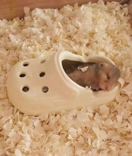 (Category: ) located in . Submitted by buyybye (Listing ID 1378414062, Image 1). Description: .