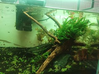(Category: ) located in . Submitted by bumblebee6495 (Listing ID 1378354152, Image 1). Description: .