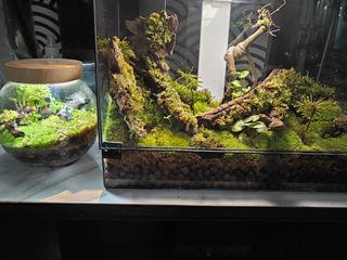 (Category: ) located in . Submitted by tijahrmad (Listing ID 1378370253, Image 1). Description: .