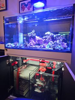 (Category: ) located in . Submitted by carpenterss (Listing ID 1383680170, Image 1). Description: .