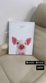由 day_77 (刊登 ID 1383706265，圖片 1) 提交，位於 的 (類別：)，說明：。