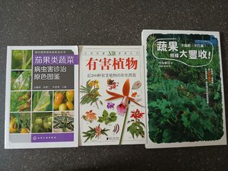 （分類：）位於 。 由 lily.tst 提交（商品編號 1383782015，圖片 1）。簡介： 。