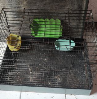 (Kategori: ) berada di . Dikirim oleh ichyzachra (ID iklan 1383677246, Gambar 1). Deskripsi: .