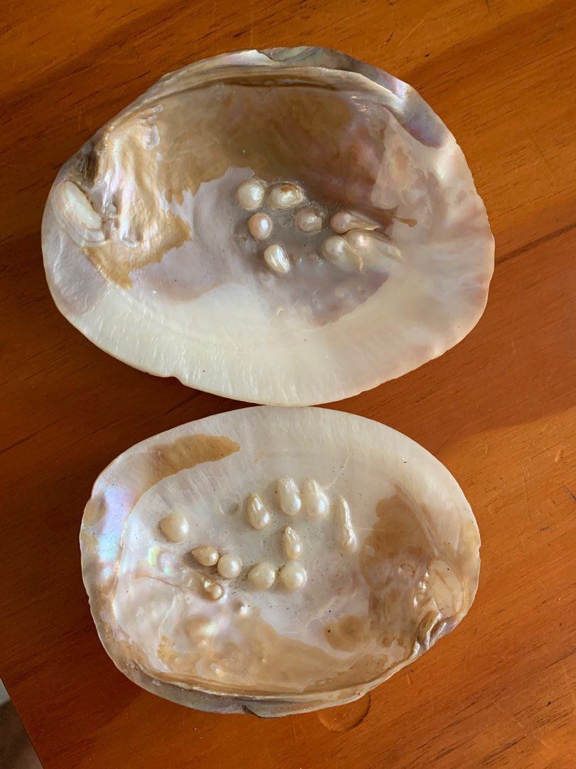 Pearls in a Shell (Category: Necklaces) located in Mandaue City. Submitted by james52 (Listing ID 1383858254, Image 2). Description: Please text me at 0932-416-1233 if interested.