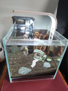(Category: ) located in . Submitted by alvinboosoonheng-52231 (Listing ID 1383809727, Image 1). Description: .