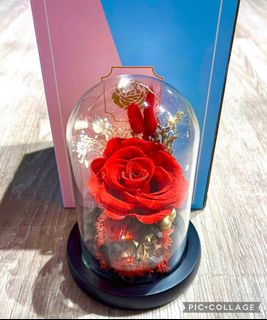 (Category: ) located in . Submitted by lovely_indulgence (Listing ID 1383769082, Image 1). Description: .