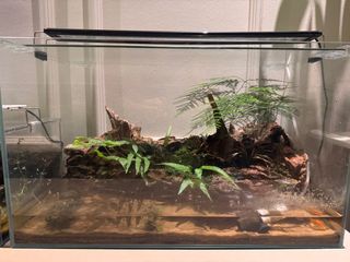 (Category: ) located in . Submitted by pricetosell15 (Listing ID 1384049241, Image 1). Description: .