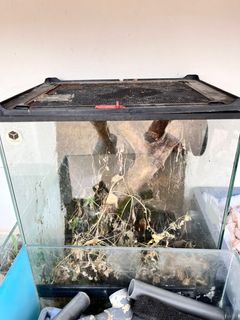 （分類：）位於 。 由 tonytsui2853745 提交（商品編號 1383928480，圖片 1）。簡介： 。