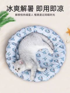 由 jr210341 (刊登 ID 1383860911，圖片 1) 提交，位於 的 (類別：)，說明：。