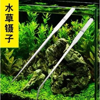 由 b976543257 (刊登 ID 1383865891，圖片 1) 提交，位於 的 (類別：)，說明：。