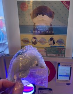 （分類：）位於 。 由 twi_light 提交（商品編號 1383981415，圖片 1）。簡介： 。