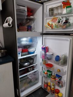 (Category: ) located in . Submitted by sabaeee (Listing ID 1383879630, Image 1). Description: .