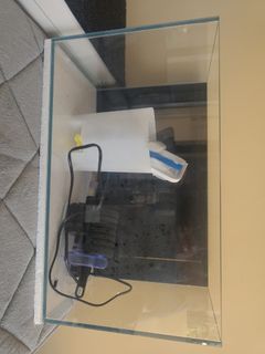(Category: ) located in . Submitted by rodeome (Listing ID 1383867888, Image 1). Description: .