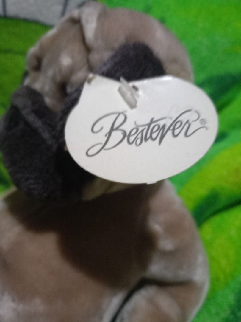Stufftoy (Category: Plushies & Soft Toys) located in Manila. Submitted by aterizz (Listing ID 1383978756, Image 3). Description: Besterver Pug stufftoy realistic courier: lalamove.