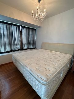 (Category: ) located in . Submitted by tracee (Listing ID 1384004912, Image 1). Description: .