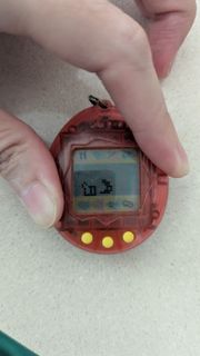 (Category: ) located in . Submitted by beaniebay (Listing ID 1383972673, Image 1). Description: .