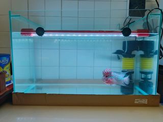 (Category: ) located in . Submitted by garytan1314 (Listing ID 1378656644, Image 1). Description: .