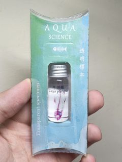 由 cen00399867155 (刊登 ID 1378551357，圖片 1) 提交，位於 的 (類別：)，說明：。