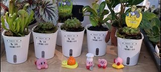 （分類：）位於 。 由 camanyo 提交（商品編號 1378575100，圖片 1）。簡介： 。