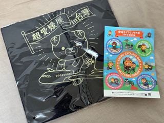 由 shoppingmakesmehappyyy (刊登 ID 1378716084，圖片 1) 提交，位於 的 (類別：)，說明：。