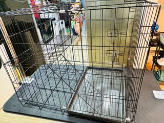 (Category: ) located in . Submitted by aissarahpetmanor (Listing ID 1378613052, Image 1). Description: .